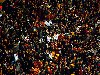 Galatasaray - Sivasspor