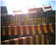 ultrAslan Cumhriyet UNİ - Kayseri’de