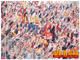 Galatasaray - Ç. Rizespor / Numaralı Çekim