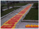 ultrAslan Kocaeli Pankart Çalışması