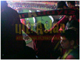 ultrAslan Karabük - İstanbul’da