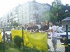 Sessizlik Çok Şeyi İfade Eder