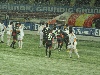 Galatasaray - Gaziantepspor