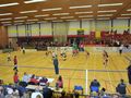 Asterix Kieldrecht - Galatasaray