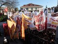 Fenerbahçe Maçı Florya Uğurlama - Karşılama