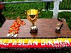 ultrAslan-Fransa Alpaslan Dikmen Futbol Turnuvası Yapıldı