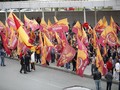 TFF Yürüyüş İstanbul / Ankara / İzmir / Malatya
